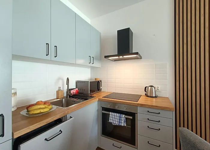 Baltic Sauna Break E-apart * Władysławowo